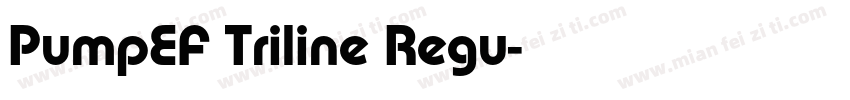 PumpEF Triline Regu字体转换